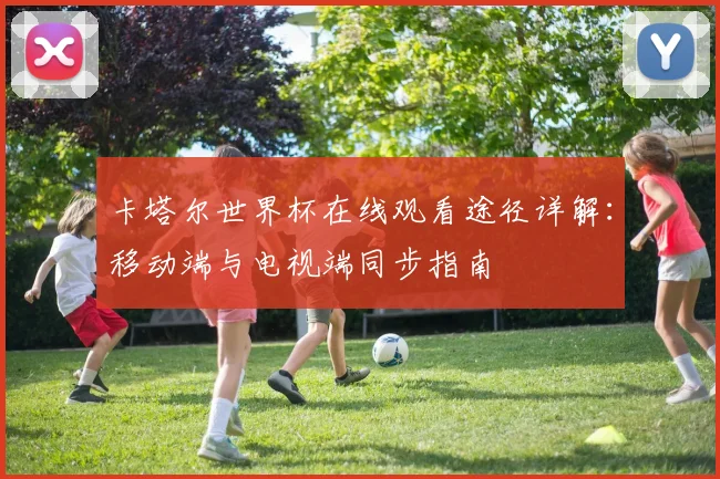 卡塔尔世界杯在线观看途径详解：移动端与电视端同步指南