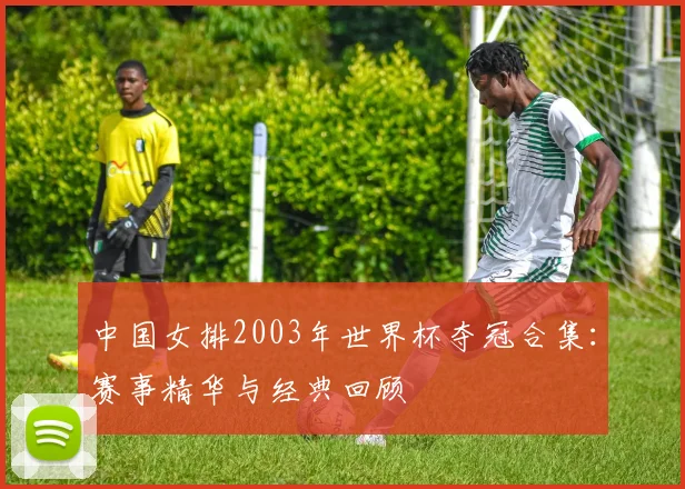 中国女排2003年世界杯夺冠合集：赛事精华与经典回顾