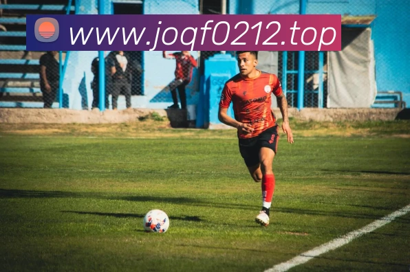 滚球买球的appAPP 体育赛事宣传图